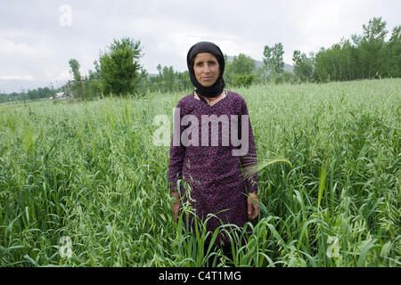 Kashmiri Frau in Wiesen in der Nähe von Manasbal See, im Bundesstaat Jammu & Kaschmir, Indien Stockfoto