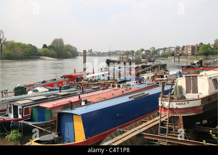 Hausbooten festgemacht an der Themse, Hammersmith, West London, England, Großbritannien, Deutschland, UK, Europa Stockfoto