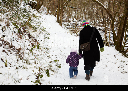 Fuß zum Sgwd Gwladus, Pontneddfechan, Brecon Beacons National Park, Wales Stockfoto