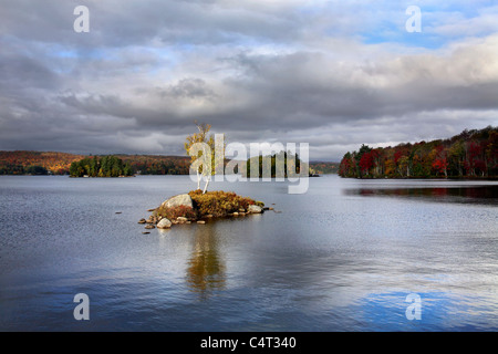 Eine kleine Insel im Tupper Lake im Herbst In den Adirondack Bergen von New York, USA Stockfoto