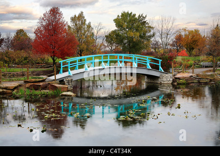 Eine pastorale Szene eine japanische Brücke über einem ruhigen kleinen Teich an einem regnerischen Tag im Herbst, südwestlichen Ohio, USA Stockfoto