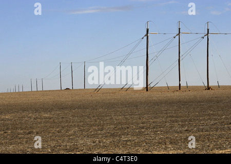 Powerlines auf australische Ackerland, Western Australia, Australien Stockfoto