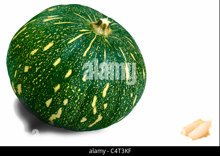 Kadu, asiatische süße Kürbis, Studio-Hintergrund Stockfoto