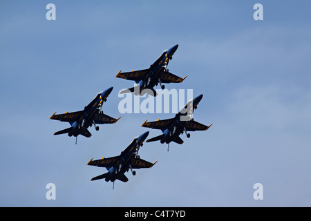 United States Navy Blue Angels im Flug. Stockfoto