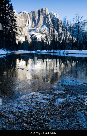 Schneebedeckte Bäume und Yosemite Punkt und dem oberen Fall spiegelt sich in den Merced Fluss im winter Stockfoto