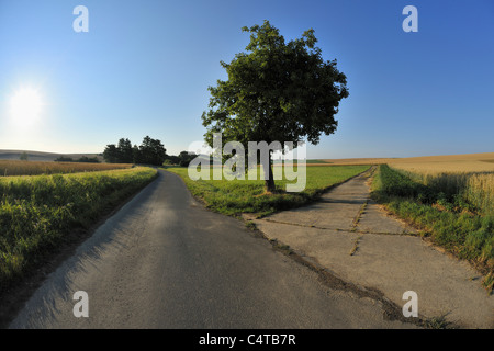 Gegabelten Straße, Unterpleichfeld, Landkreis Würzburg, Franken, Bayern, Deutschland Stockfoto