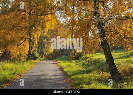 Country Road, Lindenfels, Bergstraße Kreis, Odenwald, Hessen, Deutschland Stockfoto