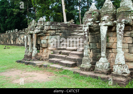 Terrasse der Elefanten ist Teil der ummauerten Stadt Angkor Thom und diente als eine riesige Tribüne für öffentliche Zeremonien Stockfoto