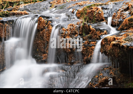 Blaen-y-Glyn Wasserfälle, Wanderungen Wald, Brecon Beacons National Park, Wales Stockfoto