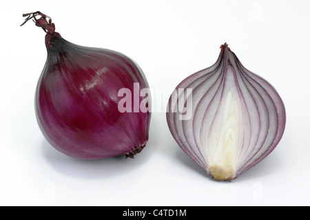Garten-Zwiebel (Allium Cepa). Rote Zwiebel, ganze und halbierte. Studio Bild vor einem weißen Hintergrund. Stockfoto
