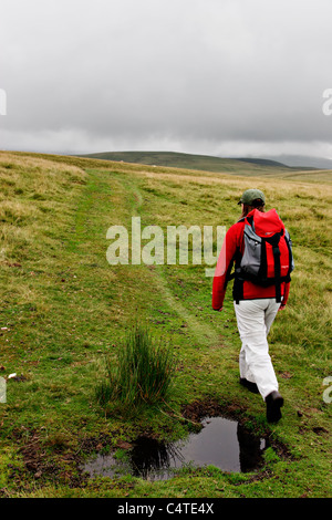 Weibliche Walker im Brecon Beacons National Park, Wales Stockfoto