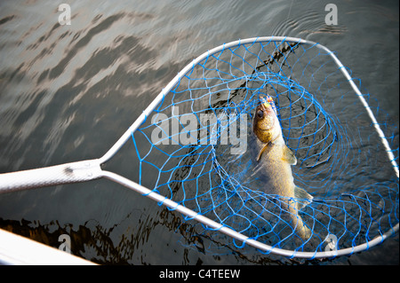 Angeln, Otter Lake, Missinipe, Saskatchewan, Kanada Stockfoto