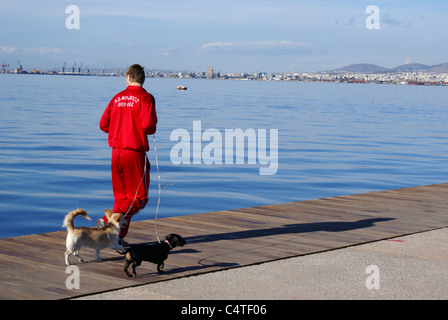 Mann läuft mit Hunden Stockfoto