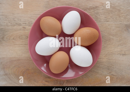 Sechs Eiern Stockfoto