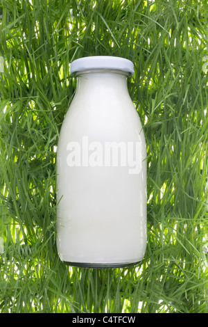 Milchflasche auf Kunstrasen Stockfoto
