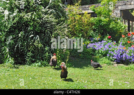 Sommer-Szene in einem ländlichen Dorf Garten, Gunnerside, Swaledale, Yorkshire, England Stockfoto