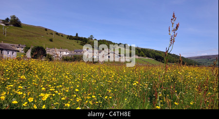 Eine traditionelle Mähwiese im Swaledale, Yorkshire, England Stockfoto