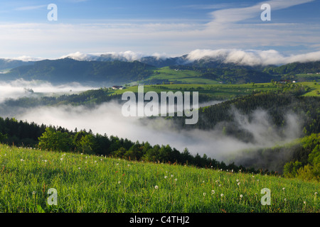 Morgennebel über Landschaft, Voralpenblick, Waidhofen ein der Ybbs, Mostviertel, Niederösterreich, Österreich Stockfoto
