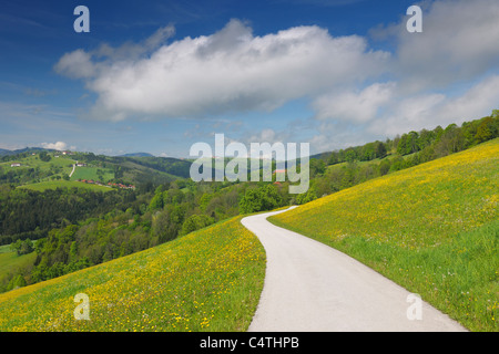 Wiese mit Straße, Mostviertel, Niederösterreich, Österreich Stockfoto