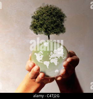 Hände halten Planetenerde mit Baum auf ihm wachsen Stockfoto