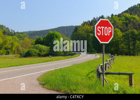 Stop-Schild auf der Straße, Pfalzerwald, Rheinland-Pfalz, Deutschland Stockfoto