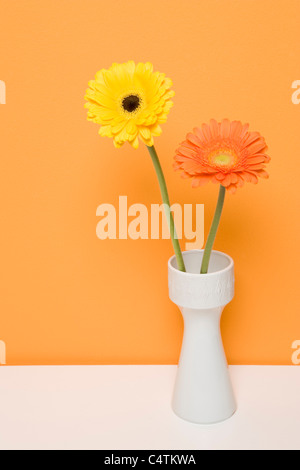 Gerbera Daisies in Vase Stockfoto