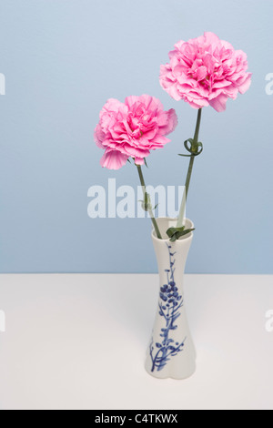 Nelken in Vase Stockfoto