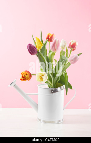 Tulpen in Gießkanne Stockfoto