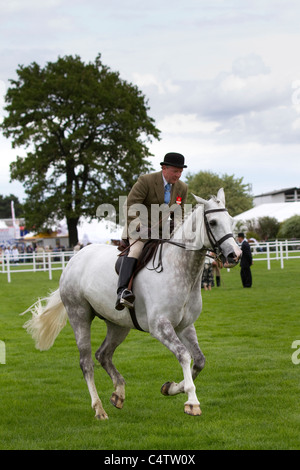 Graues Pferd mit Jockey   Jäger bei der Royal Highland Show   Ingliston Edinburgh 2011, Schottland, UK Stockfoto