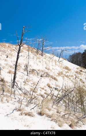 Sanddünen im Slowinzischen Nationalpark, Polen Stockfoto