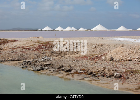 Salzpfannen/Säulen auf Bonaire, einer karibischen Insel, die zu den Niederländischen Antillen gehört. Foto V.D. Stockfoto