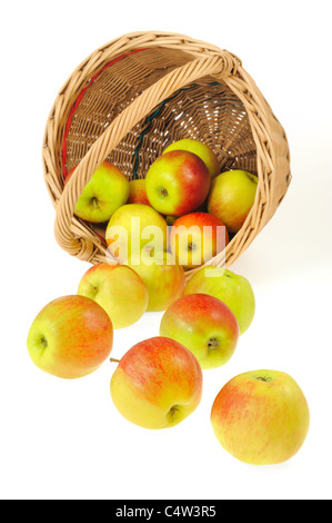 Frische Äpfel aus Korb - isoliert. Clipping-Pfad enthalten. Stockfoto