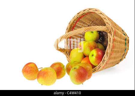 Frische Äpfel aus Korb - isoliert. Clipping-Pfad enthalten. Stockfoto