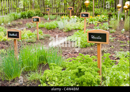 Kräutergarten, Salzburg, Salzburger Land, Österreich Stockfoto