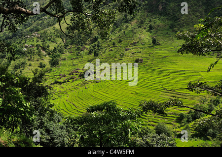 Marsyangdi River Valley, Pashchimanchal, Nepal, Annapurna Conservation Area, Gandaki Stockfoto