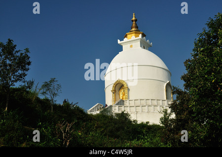 Friedens-Pagode, Pokhara, Pokhara Tal, Gandaki, Pashchimanchal, Nepal Stockfoto