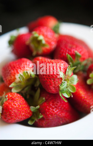 Erdbeeren, Long Beach, Los Angeles County, Kalifornien, USA Stockfoto