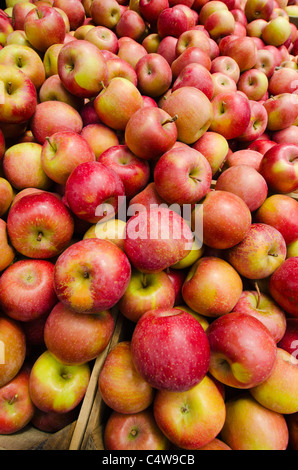 USA, New York State, New York City, Stapel von Äpfeln am Marktstand Stockfoto