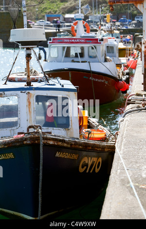 Lokale Stonehaven Fischerboote. Ostküste Schottlands. Stockfoto