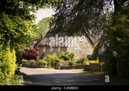 Ashmore, einem englischen Dorf in Dorset, England, UK an einem Feldweg Stockfoto