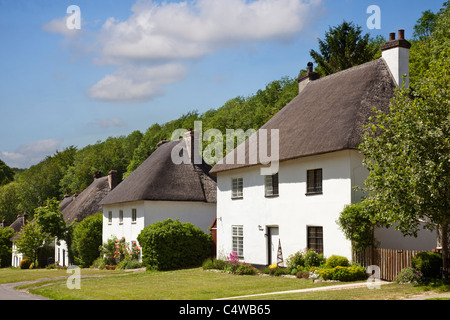 Freistehende Landhäuser, strohgedeckte Hütte Reihe von Häusern in Milton Abbas Dorf, Dorset, England, Großbritannien Stockfoto
