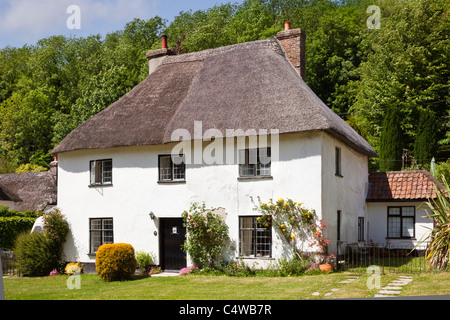 Landhaus, Milton Abbas, Dorset, England, UK Stockfoto