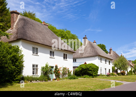 Reihe von traditionellen losgelöst strohgedeckte Hütten, Milton Abbas, Dorset, England, UK Stockfoto