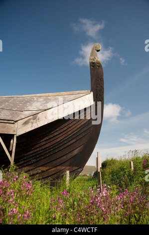 Eine Nachbildung Wikinger Langschiff Skidbladnir zu Haroldswick von Shetland The Viking Unst Project im Bau.  SCO 7289 Stockfoto