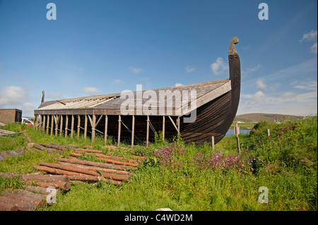 Eine Nachbildung Wikinger Langschiff Skidbladnir zu Haroldswick von Shetland The Viking Unst Project im Bau.  SCO 7291 Stockfoto