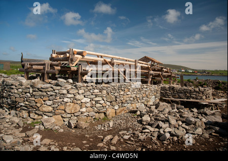 Eine Nachbildung Wikinger Langschiff Skidbladnir zu Haroldswick von Shetland The Viking Unst Project im Bau. SCO 7292 Stockfoto