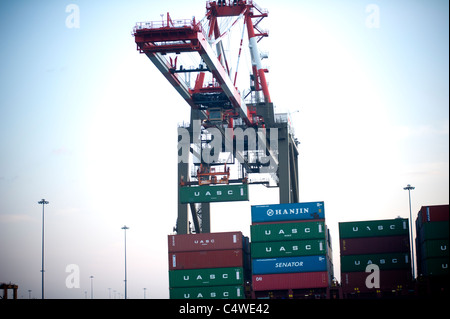 Kräne Entladen von Containern in Port Elizabeth im Hafen von New York und New Jersey Stockfoto