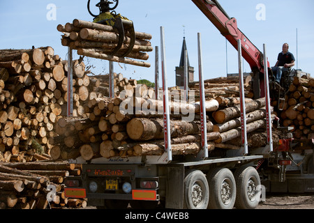 Holzfällerindustrie Stapeln von Holz, das aus lokalen Wäldern geschnitten wurde und auf den Export am Kai wartet, in Montrose Docks Scotland UK Stockfoto