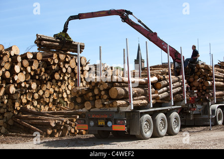 Holzfällerindustrie Stapeln von Holz, das aus lokalen Wäldern geschnitten wurde und auf den Export am Kai wartet, in Montrose Docks Scotland UK Stockfoto