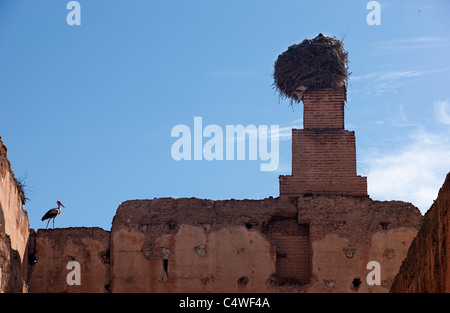 Ein Storch und Nest auf den bröckelnden Mauern des Palais El Badii. Marrakesch, Marokko. Stockfoto